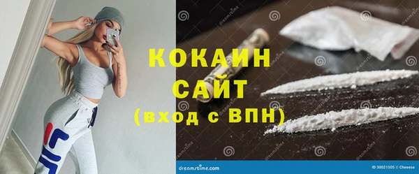 молекула духа Новозыбков
