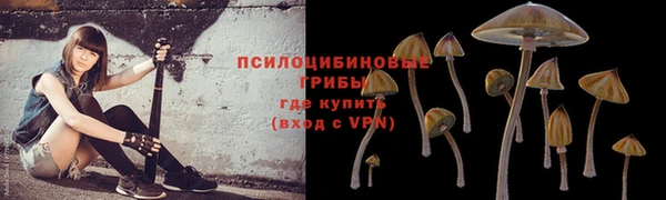ECSTASY Абдулино