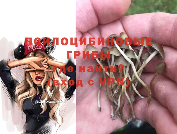 PSILOCYBIN Абаза