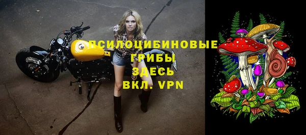 молекула духа Новозыбков