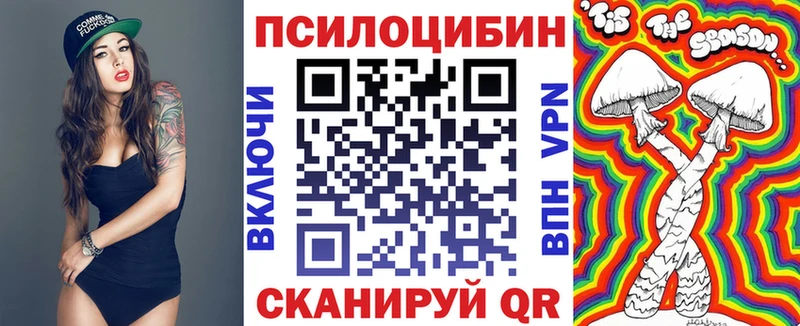 Галлюциногенные грибы Cubensis  купить   Красновишерск 
